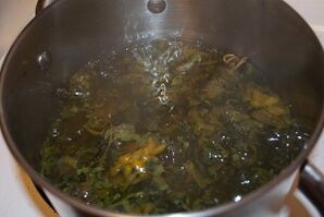 tratamiento de venas varicosas con decocciones